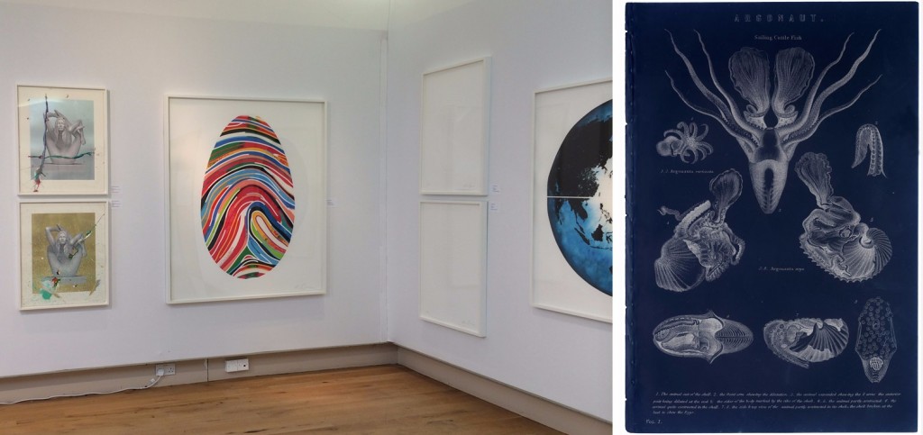 Marc Quinn at Multiplied 2014 (left). A Sarah Gillett cyanotype