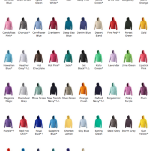 25 x Hoodies With A 1 Colour Screen Print