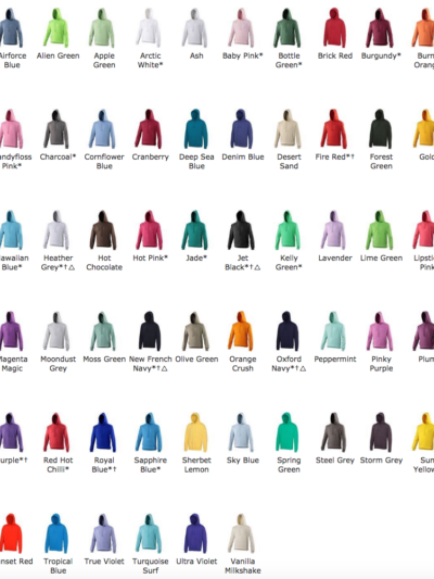 25 x Hoodies With a 1 Colour Screen Print