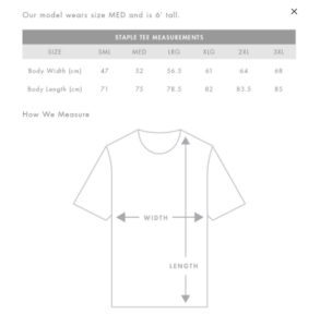 5001 AS Colour Staple Regular Fit T-Shirt - 3rd Rail Clothing